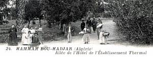 596- Hammam-Bou-Hadjar - Allee des Thermes2
